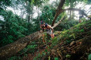 BIB: 
                            <button type="button" onclick="openModal(22777552)" class="btn btn-primary btn-sm float-right btn-popup" data-toggle="modal" data-target=".modal-high-quality">
                        <i class="fas fa-shopping-cart"></i> Add to Cart
                    </button>
                                            <button type="button" onclick="isThisMe(22777552, true)" class="btn btn-success btn-sm float-right btn-popup btn-isme hidden" data-toggle="tooltip" data-placement="bottom" title="นี่คือรูปของคุณใช่ไหม คลิกที่นี่เพื่อเอาเข้าอัลบั้ม">
                        <i class="fas fa-plus"></i> Add to album
                    </button>
                    <button type="button" onclick="isThisMe(22777552, false)" class="btn btn-warning btn-sm float-right btn-popup btn-isnotme hidden">
                        <i class="fas fa-ban"></i> Remove from album
                    </button>