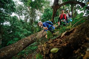 BIB: 
                            <button type="button" onclick="openModal(22779043)" class="btn btn-primary btn-sm float-right btn-popup" data-toggle="modal" data-target=".modal-high-quality">
                        <i class="fas fa-shopping-cart"></i> Add to Cart
                    </button>
                                            <button type="button" onclick="isThisMe(22779043, true)" class="btn btn-success btn-sm float-right btn-popup btn-isme hidden" data-toggle="tooltip" data-placement="bottom" title="นี่คือรูปของคุณใช่ไหม คลิกที่นี่เพื่อเอาเข้าอัลบั้ม">
                        <i class="fas fa-plus"></i> Add to album
                    </button>
                    <button type="button" onclick="isThisMe(22779043, false)" class="btn btn-warning btn-sm float-right btn-popup btn-isnotme hidden">
                        <i class="fas fa-ban"></i> Remove from album
                    </button>