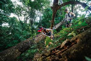 BIB: 
                            <button type="button" onclick="openModal(22778138)" class="btn btn-primary btn-sm float-right btn-popup" data-toggle="modal" data-target=".modal-high-quality">
                        <i class="fas fa-shopping-cart"></i> Add to Cart
                    </button>
                                            <button type="button" onclick="isThisMe(22778138, true)" class="btn btn-success btn-sm float-right btn-popup btn-isme hidden" data-toggle="tooltip" data-placement="bottom" title="นี่คือรูปของคุณใช่ไหม คลิกที่นี่เพื่อเอาเข้าอัลบั้ม">
                        <i class="fas fa-plus"></i> Add to album
                    </button>
                    <button type="button" onclick="isThisMe(22778138, false)" class="btn btn-warning btn-sm float-right btn-popup btn-isnotme hidden">
                        <i class="fas fa-ban"></i> Remove from album
                    </button>