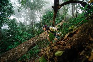 BIB: 
                            <button type="button" onclick="openModal(22778987)" class="btn btn-primary btn-sm float-right btn-popup" data-toggle="modal" data-target=".modal-high-quality">
                        <i class="fas fa-shopping-cart"></i> Add to Cart
                    </button>
                                            <button type="button" onclick="isThisMe(22778987, true)" class="btn btn-success btn-sm float-right btn-popup btn-isme hidden" data-toggle="tooltip" data-placement="bottom" title="นี่คือรูปของคุณใช่ไหม คลิกที่นี่เพื่อเอาเข้าอัลบั้ม">
                        <i class="fas fa-plus"></i> Add to album
                    </button>
                    <button type="button" onclick="isThisMe(22778987, false)" class="btn btn-warning btn-sm float-right btn-popup btn-isnotme hidden">
                        <i class="fas fa-ban"></i> Remove from album
                    </button>