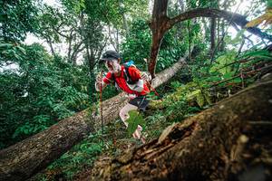 BIB: 
                            <button type="button" onclick="openModal(22778330)" class="btn btn-primary btn-sm float-right btn-popup" data-toggle="modal" data-target=".modal-high-quality">
                        <i class="fas fa-shopping-cart"></i> Add to Cart
                    </button>
                                            <button type="button" onclick="isThisMe(22778330, true)" class="btn btn-success btn-sm float-right btn-popup btn-isme hidden" data-toggle="tooltip" data-placement="bottom" title="นี่คือรูปของคุณใช่ไหม คลิกที่นี่เพื่อเอาเข้าอัลบั้ม">
                        <i class="fas fa-plus"></i> Add to album
                    </button>
                    <button type="button" onclick="isThisMe(22778330, false)" class="btn btn-warning btn-sm float-right btn-popup btn-isnotme hidden">
                        <i class="fas fa-ban"></i> Remove from album
                    </button>