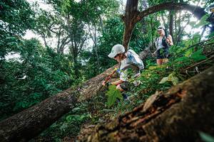 BIB: 
                            <button type="button" onclick="openModal(22778134)" class="btn btn-primary btn-sm float-right btn-popup" data-toggle="modal" data-target=".modal-high-quality">
                        <i class="fas fa-shopping-cart"></i> Add to Cart
                    </button>
                                            <button type="button" onclick="isThisMe(22778134, true)" class="btn btn-success btn-sm float-right btn-popup btn-isme hidden" data-toggle="tooltip" data-placement="bottom" title="นี่คือรูปของคุณใช่ไหม คลิกที่นี่เพื่อเอาเข้าอัลบั้ม">
                        <i class="fas fa-plus"></i> Add to album
                    </button>
                    <button type="button" onclick="isThisMe(22778134, false)" class="btn btn-warning btn-sm float-right btn-popup btn-isnotme hidden">
                        <i class="fas fa-ban"></i> Remove from album
                    </button>