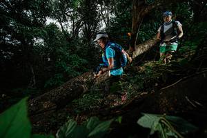 BIB: 
                            <button type="button" onclick="openModal(22775779)" class="btn btn-primary btn-sm float-right btn-popup" data-toggle="modal" data-target=".modal-high-quality">
                        <i class="fas fa-shopping-cart"></i> Add to Cart
                    </button>
                                            <button type="button" onclick="isThisMe(22775779, true)" class="btn btn-success btn-sm float-right btn-popup btn-isme hidden" data-toggle="tooltip" data-placement="bottom" title="นี่คือรูปของคุณใช่ไหม คลิกที่นี่เพื่อเอาเข้าอัลบั้ม">
                        <i class="fas fa-plus"></i> Add to album
                    </button>
                    <button type="button" onclick="isThisMe(22775779, false)" class="btn btn-warning btn-sm float-right btn-popup btn-isnotme hidden">
                        <i class="fas fa-ban"></i> Remove from album
                    </button>