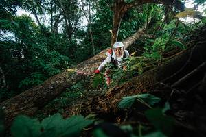 BIB: 
                            <button type="button" onclick="openModal(22777202)" class="btn btn-primary btn-sm float-right btn-popup" data-toggle="modal" data-target=".modal-high-quality">
                        <i class="fas fa-shopping-cart"></i> Add to Cart
                    </button>
                                            <button type="button" onclick="isThisMe(22777202, true)" class="btn btn-success btn-sm float-right btn-popup btn-isme hidden" data-toggle="tooltip" data-placement="bottom" title="นี่คือรูปของคุณใช่ไหม คลิกที่นี่เพื่อเอาเข้าอัลบั้ม">
                        <i class="fas fa-plus"></i> Add to album
                    </button>
                    <button type="button" onclick="isThisMe(22777202, false)" class="btn btn-warning btn-sm float-right btn-popup btn-isnotme hidden">
                        <i class="fas fa-ban"></i> Remove from album
                    </button>