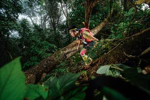 BIB: 
                            <button type="button" onclick="openModal(22776777)" class="btn btn-primary btn-sm float-right btn-popup" data-toggle="modal" data-target=".modal-high-quality">
                        <i class="fas fa-shopping-cart"></i> Add to Cart
                    </button>
                                            <button type="button" onclick="isThisMe(22776777, true)" class="btn btn-success btn-sm float-right btn-popup btn-isme hidden" data-toggle="tooltip" data-placement="bottom" title="นี่คือรูปของคุณใช่ไหม คลิกที่นี่เพื่อเอาเข้าอัลบั้ม">
                        <i class="fas fa-plus"></i> Add to album
                    </button>
                    <button type="button" onclick="isThisMe(22776777, false)" class="btn btn-warning btn-sm float-right btn-popup btn-isnotme hidden">
                        <i class="fas fa-ban"></i> Remove from album
                    </button>