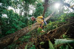 BIB: 
                            <button type="button" onclick="openModal(22777586)" class="btn btn-primary btn-sm float-right btn-popup" data-toggle="modal" data-target=".modal-high-quality">
                        <i class="fas fa-shopping-cart"></i> Add to Cart
                    </button>
                                            <button type="button" onclick="isThisMe(22777586, true)" class="btn btn-success btn-sm float-right btn-popup btn-isme hidden" data-toggle="tooltip" data-placement="bottom" title="นี่คือรูปของคุณใช่ไหม คลิกที่นี่เพื่อเอาเข้าอัลบั้ม">
                        <i class="fas fa-plus"></i> Add to album
                    </button>
                    <button type="button" onclick="isThisMe(22777586, false)" class="btn btn-warning btn-sm float-right btn-popup btn-isnotme hidden">
                        <i class="fas fa-ban"></i> Remove from album
                    </button>