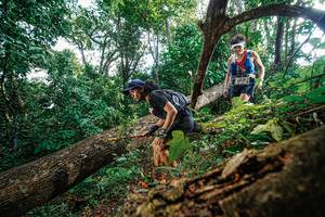 BIB: 
                            <button type="button" onclick="openModal(22778057)" class="btn btn-primary btn-sm float-right btn-popup" data-toggle="modal" data-target=".modal-high-quality">
                        <i class="fas fa-shopping-cart"></i> Add to Cart
                    </button>
                                            <button type="button" onclick="isThisMe(22778057, true)" class="btn btn-success btn-sm float-right btn-popup btn-isme hidden" data-toggle="tooltip" data-placement="bottom" title="นี่คือรูปของคุณใช่ไหม คลิกที่นี่เพื่อเอาเข้าอัลบั้ม">
                        <i class="fas fa-plus"></i> Add to album
                    </button>
                    <button type="button" onclick="isThisMe(22778057, false)" class="btn btn-warning btn-sm float-right btn-popup btn-isnotme hidden">
                        <i class="fas fa-ban"></i> Remove from album
                    </button>