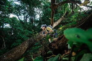 BIB: 
                            <button type="button" onclick="openModal(22777438)" class="btn btn-primary btn-sm float-right btn-popup" data-toggle="modal" data-target=".modal-high-quality">
                        <i class="fas fa-shopping-cart"></i> Add to Cart
                    </button>
                                            <button type="button" onclick="isThisMe(22777438, true)" class="btn btn-success btn-sm float-right btn-popup btn-isme hidden" data-toggle="tooltip" data-placement="bottom" title="นี่คือรูปของคุณใช่ไหม คลิกที่นี่เพื่อเอาเข้าอัลบั้ม">
                        <i class="fas fa-plus"></i> Add to album
                    </button>
                    <button type="button" onclick="isThisMe(22777438, false)" class="btn btn-warning btn-sm float-right btn-popup btn-isnotme hidden">
                        <i class="fas fa-ban"></i> Remove from album
                    </button>