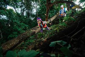 BIB: 
                            <button type="button" onclick="openModal(22777151)" class="btn btn-primary btn-sm float-right btn-popup" data-toggle="modal" data-target=".modal-high-quality">
                        <i class="fas fa-shopping-cart"></i> Add to Cart
                    </button>
                                            <button type="button" onclick="isThisMe(22777151, true)" class="btn btn-success btn-sm float-right btn-popup btn-isme hidden" data-toggle="tooltip" data-placement="bottom" title="นี่คือรูปของคุณใช่ไหม คลิกที่นี่เพื่อเอาเข้าอัลบั้ม">
                        <i class="fas fa-plus"></i> Add to album
                    </button>
                    <button type="button" onclick="isThisMe(22777151, false)" class="btn btn-warning btn-sm float-right btn-popup btn-isnotme hidden">
                        <i class="fas fa-ban"></i> Remove from album
                    </button>