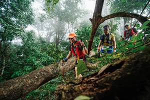 BIB: 
                            <button type="button" onclick="openModal(22778901)" class="btn btn-primary btn-sm float-right btn-popup" data-toggle="modal" data-target=".modal-high-quality">
                        <i class="fas fa-shopping-cart"></i> Add to Cart
                    </button>
                                            <button type="button" onclick="isThisMe(22778901, true)" class="btn btn-success btn-sm float-right btn-popup btn-isme hidden" data-toggle="tooltip" data-placement="bottom" title="นี่คือรูปของคุณใช่ไหม คลิกที่นี่เพื่อเอาเข้าอัลบั้ม">
                        <i class="fas fa-plus"></i> Add to album
                    </button>
                    <button type="button" onclick="isThisMe(22778901, false)" class="btn btn-warning btn-sm float-right btn-popup btn-isnotme hidden">
                        <i class="fas fa-ban"></i> Remove from album
                    </button>