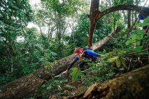 BIB: 
                            <button type="button" onclick="openModal(22778536)" class="btn btn-primary btn-sm float-right btn-popup" data-toggle="modal" data-target=".modal-high-quality">
                        <i class="fas fa-shopping-cart"></i> Add to Cart
                    </button>
                                            <button type="button" onclick="isThisMe(22778536, true)" class="btn btn-success btn-sm float-right btn-popup btn-isme hidden" data-toggle="tooltip" data-placement="bottom" title="นี่คือรูปของคุณใช่ไหม คลิกที่นี่เพื่อเอาเข้าอัลบั้ม">
                        <i class="fas fa-plus"></i> Add to album
                    </button>
                    <button type="button" onclick="isThisMe(22778536, false)" class="btn btn-warning btn-sm float-right btn-popup btn-isnotme hidden">
                        <i class="fas fa-ban"></i> Remove from album
                    </button>