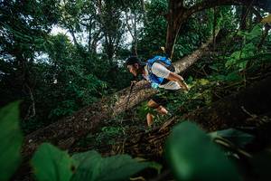 BIB: 
                            <button type="button" onclick="openModal(22777371)" class="btn btn-primary btn-sm float-right btn-popup" data-toggle="modal" data-target=".modal-high-quality">
                        <i class="fas fa-shopping-cart"></i> Add to Cart
                    </button>
                                            <button type="button" onclick="isThisMe(22777371, true)" class="btn btn-success btn-sm float-right btn-popup btn-isme hidden" data-toggle="tooltip" data-placement="bottom" title="นี่คือรูปของคุณใช่ไหม คลิกที่นี่เพื่อเอาเข้าอัลบั้ม">
                        <i class="fas fa-plus"></i> Add to album
                    </button>
                    <button type="button" onclick="isThisMe(22777371, false)" class="btn btn-warning btn-sm float-right btn-popup btn-isnotme hidden">
                        <i class="fas fa-ban"></i> Remove from album
                    </button>