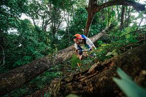 BIB: 
                            <button type="button" onclick="openModal(22778246)" class="btn btn-primary btn-sm float-right btn-popup" data-toggle="modal" data-target=".modal-high-quality">
                        <i class="fas fa-shopping-cart"></i> Add to Cart
                    </button>
                                            <button type="button" onclick="isThisMe(22778246, true)" class="btn btn-success btn-sm float-right btn-popup btn-isme hidden" data-toggle="tooltip" data-placement="bottom" title="นี่คือรูปของคุณใช่ไหม คลิกที่นี่เพื่อเอาเข้าอัลบั้ม">
                        <i class="fas fa-plus"></i> Add to album
                    </button>
                    <button type="button" onclick="isThisMe(22778246, false)" class="btn btn-warning btn-sm float-right btn-popup btn-isnotme hidden">
                        <i class="fas fa-ban"></i> Remove from album
                    </button>