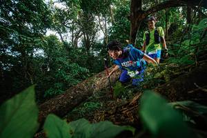 BIB: 
                            <button type="button" onclick="openModal(22777280)" class="btn btn-primary btn-sm float-right btn-popup" data-toggle="modal" data-target=".modal-high-quality">
                        <i class="fas fa-shopping-cart"></i> Add to Cart
                    </button>
                                            <button type="button" onclick="isThisMe(22777280, true)" class="btn btn-success btn-sm float-right btn-popup btn-isme hidden" data-toggle="tooltip" data-placement="bottom" title="นี่คือรูปของคุณใช่ไหม คลิกที่นี่เพื่อเอาเข้าอัลบั้ม">
                        <i class="fas fa-plus"></i> Add to album
                    </button>
                    <button type="button" onclick="isThisMe(22777280, false)" class="btn btn-warning btn-sm float-right btn-popup btn-isnotme hidden">
                        <i class="fas fa-ban"></i> Remove from album
                    </button>