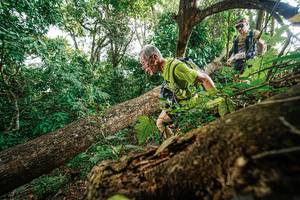 BIB: 
                            <button type="button" onclick="openModal(22778636)" class="btn btn-primary btn-sm float-right btn-popup" data-toggle="modal" data-target=".modal-high-quality">
                        <i class="fas fa-shopping-cart"></i> Add to Cart
                    </button>
                                            <button type="button" onclick="isThisMe(22778636, true)" class="btn btn-success btn-sm float-right btn-popup btn-isme hidden" data-toggle="tooltip" data-placement="bottom" title="นี่คือรูปของคุณใช่ไหม คลิกที่นี่เพื่อเอาเข้าอัลบั้ม">
                        <i class="fas fa-plus"></i> Add to album
                    </button>
                    <button type="button" onclick="isThisMe(22778636, false)" class="btn btn-warning btn-sm float-right btn-popup btn-isnotme hidden">
                        <i class="fas fa-ban"></i> Remove from album
                    </button>