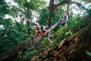 BIB: 
                            <button type="button" onclick="openModal(22778164)" class="btn btn-primary btn-sm float-right btn-popup" data-toggle="modal" data-target=".modal-high-quality">
                        <i class="fas fa-shopping-cart"></i> Add to Cart
                    </button>
                                            <button type="button" onclick="isThisMe(22778164, true)" class="btn btn-success btn-sm float-right btn-popup btn-isme hidden" data-toggle="tooltip" data-placement="bottom" title="นี่คือรูปของคุณใช่ไหม คลิกที่นี่เพื่อเอาเข้าอัลบั้ม">
                        <i class="fas fa-plus"></i> Add to album
                    </button>
                    <button type="button" onclick="isThisMe(22778164, false)" class="btn btn-warning btn-sm float-right btn-popup btn-isnotme hidden">
                        <i class="fas fa-ban"></i> Remove from album
                    </button>