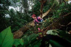 BIB: 
                            <button type="button" onclick="openModal(22776780)" class="btn btn-primary btn-sm float-right btn-popup" data-toggle="modal" data-target=".modal-high-quality">
                        <i class="fas fa-shopping-cart"></i> Add to Cart
                    </button>
                                            <button type="button" onclick="isThisMe(22776780, true)" class="btn btn-success btn-sm float-right btn-popup btn-isme hidden" data-toggle="tooltip" data-placement="bottom" title="นี่คือรูปของคุณใช่ไหม คลิกที่นี่เพื่อเอาเข้าอัลบั้ม">
                        <i class="fas fa-plus"></i> Add to album
                    </button>
                    <button type="button" onclick="isThisMe(22776780, false)" class="btn btn-warning btn-sm float-right btn-popup btn-isnotme hidden">
                        <i class="fas fa-ban"></i> Remove from album
                    </button>