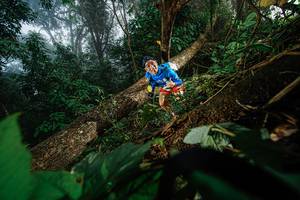 BIB: 
                            <button type="button" onclick="openModal(22776767)" class="btn btn-primary btn-sm float-right btn-popup" data-toggle="modal" data-target=".modal-high-quality">
                        <i class="fas fa-shopping-cart"></i> Add to Cart
                    </button>
                                            <button type="button" onclick="isThisMe(22776767, true)" class="btn btn-success btn-sm float-right btn-popup btn-isme hidden" data-toggle="tooltip" data-placement="bottom" title="นี่คือรูปของคุณใช่ไหม คลิกที่นี่เพื่อเอาเข้าอัลบั้ม">
                        <i class="fas fa-plus"></i> Add to album
                    </button>
                    <button type="button" onclick="isThisMe(22776767, false)" class="btn btn-warning btn-sm float-right btn-popup btn-isnotme hidden">
                        <i class="fas fa-ban"></i> Remove from album
                    </button>