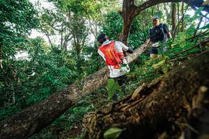 BIB: 
                            <button type="button" onclick="openModal(22778405)" class="btn btn-primary btn-sm float-right btn-popup" data-toggle="modal" data-target=".modal-high-quality">
                        <i class="fas fa-shopping-cart"></i> Add to Cart
                    </button>
                                            <button type="button" onclick="isThisMe(22778405, true)" class="btn btn-success btn-sm float-right btn-popup btn-isme hidden" data-toggle="tooltip" data-placement="bottom" title="นี่คือรูปของคุณใช่ไหม คลิกที่นี่เพื่อเอาเข้าอัลบั้ม">
                        <i class="fas fa-plus"></i> Add to album
                    </button>
                    <button type="button" onclick="isThisMe(22778405, false)" class="btn btn-warning btn-sm float-right btn-popup btn-isnotme hidden">
                        <i class="fas fa-ban"></i> Remove from album
                    </button>