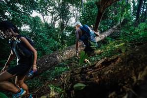 BIB: 
                            <button type="button" onclick="openModal(22778365)" class="btn btn-primary btn-sm float-right btn-popup" data-toggle="modal" data-target=".modal-high-quality">
                        <i class="fas fa-shopping-cart"></i> Add to Cart
                    </button>
                                            <button type="button" onclick="isThisMe(22778365, true)" class="btn btn-success btn-sm float-right btn-popup btn-isme hidden" data-toggle="tooltip" data-placement="bottom" title="นี่คือรูปของคุณใช่ไหม คลิกที่นี่เพื่อเอาเข้าอัลบั้ม">
                        <i class="fas fa-plus"></i> Add to album
                    </button>
                    <button type="button" onclick="isThisMe(22778365, false)" class="btn btn-warning btn-sm float-right btn-popup btn-isnotme hidden">
                        <i class="fas fa-ban"></i> Remove from album
                    </button>