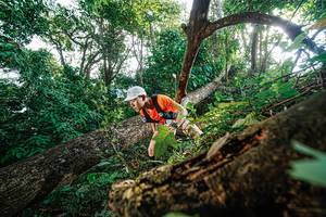 BIB: 
                            <button type="button" onclick="openModal(22778176)" class="btn btn-primary btn-sm float-right btn-popup" data-toggle="modal" data-target=".modal-high-quality">
                        <i class="fas fa-shopping-cart"></i> Add to Cart
                    </button>
                                            <button type="button" onclick="isThisMe(22778176, true)" class="btn btn-success btn-sm float-right btn-popup btn-isme hidden" data-toggle="tooltip" data-placement="bottom" title="นี่คือรูปของคุณใช่ไหม คลิกที่นี่เพื่อเอาเข้าอัลบั้ม">
                        <i class="fas fa-plus"></i> Add to album
                    </button>
                    <button type="button" onclick="isThisMe(22778176, false)" class="btn btn-warning btn-sm float-right btn-popup btn-isnotme hidden">
                        <i class="fas fa-ban"></i> Remove from album
                    </button>