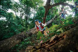 BIB: 
                            <button type="button" onclick="openModal(22778114)" class="btn btn-primary btn-sm float-right btn-popup" data-toggle="modal" data-target=".modal-high-quality">
                        <i class="fas fa-shopping-cart"></i> Add to Cart
                    </button>
                                            <button type="button" onclick="isThisMe(22778114, true)" class="btn btn-success btn-sm float-right btn-popup btn-isme hidden" data-toggle="tooltip" data-placement="bottom" title="นี่คือรูปของคุณใช่ไหม คลิกที่นี่เพื่อเอาเข้าอัลบั้ม">
                        <i class="fas fa-plus"></i> Add to album
                    </button>
                    <button type="button" onclick="isThisMe(22778114, false)" class="btn btn-warning btn-sm float-right btn-popup btn-isnotme hidden">
                        <i class="fas fa-ban"></i> Remove from album
                    </button>