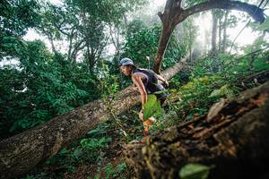 BIB: 
                            <button type="button" onclick="openModal(22777713)" class="btn btn-primary btn-sm float-right btn-popup" data-toggle="modal" data-target=".modal-high-quality">
                        <i class="fas fa-shopping-cart"></i> Add to Cart
                    </button>
                                            <button type="button" onclick="isThisMe(22777713, true)" class="btn btn-success btn-sm float-right btn-popup btn-isme hidden" data-toggle="tooltip" data-placement="bottom" title="นี่คือรูปของคุณใช่ไหม คลิกที่นี่เพื่อเอาเข้าอัลบั้ม">
                        <i class="fas fa-plus"></i> Add to album
                    </button>
                    <button type="button" onclick="isThisMe(22777713, false)" class="btn btn-warning btn-sm float-right btn-popup btn-isnotme hidden">
                        <i class="fas fa-ban"></i> Remove from album
                    </button>