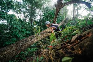 BIB: 
                            <button type="button" onclick="openModal(22777712)" class="btn btn-primary btn-sm float-right btn-popup" data-toggle="modal" data-target=".modal-high-quality">
                        <i class="fas fa-shopping-cart"></i> Add to Cart
                    </button>
                                            <button type="button" onclick="isThisMe(22777712, true)" class="btn btn-success btn-sm float-right btn-popup btn-isme hidden" data-toggle="tooltip" data-placement="bottom" title="นี่คือรูปของคุณใช่ไหม คลิกที่นี่เพื่อเอาเข้าอัลบั้ม">
                        <i class="fas fa-plus"></i> Add to album
                    </button>
                    <button type="button" onclick="isThisMe(22777712, false)" class="btn btn-warning btn-sm float-right btn-popup btn-isnotme hidden">
                        <i class="fas fa-ban"></i> Remove from album
                    </button>