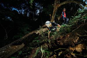 BIB: 
                            <button type="button" onclick="openModal(22774482)" class="btn btn-primary btn-sm float-right btn-popup" data-toggle="modal" data-target=".modal-high-quality">
                        <i class="fas fa-shopping-cart"></i> Add to Cart
                    </button>
                                            <button type="button" onclick="isThisMe(22774482, true)" class="btn btn-success btn-sm float-right btn-popup btn-isme hidden" data-toggle="tooltip" data-placement="bottom" title="นี่คือรูปของคุณใช่ไหม คลิกที่นี่เพื่อเอาเข้าอัลบั้ม">
                        <i class="fas fa-plus"></i> Add to album
                    </button>
                    <button type="button" onclick="isThisMe(22774482, false)" class="btn btn-warning btn-sm float-right btn-popup btn-isnotme hidden">
                        <i class="fas fa-ban"></i> Remove from album
                    </button>