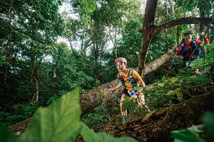 BIB: 
                            <button type="button" onclick="openModal(22777412)" class="btn btn-primary btn-sm float-right btn-popup" data-toggle="modal" data-target=".modal-high-quality">
                        <i class="fas fa-shopping-cart"></i> Add to Cart
                    </button>
                                            <button type="button" onclick="isThisMe(22777412, true)" class="btn btn-success btn-sm float-right btn-popup btn-isme hidden" data-toggle="tooltip" data-placement="bottom" title="นี่คือรูปของคุณใช่ไหม คลิกที่นี่เพื่อเอาเข้าอัลบั้ม">
                        <i class="fas fa-plus"></i> Add to album
                    </button>
                    <button type="button" onclick="isThisMe(22777412, false)" class="btn btn-warning btn-sm float-right btn-popup btn-isnotme hidden">
                        <i class="fas fa-ban"></i> Remove from album
                    </button>