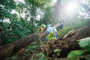 BIB: 
                            <button type="button" onclick="openModal(22777894)" class="btn btn-primary btn-sm float-right btn-popup" data-toggle="modal" data-target=".modal-high-quality">
                        <i class="fas fa-shopping-cart"></i> Add to Cart
                    </button>
                                            <button type="button" onclick="isThisMe(22777894, true)" class="btn btn-success btn-sm float-right btn-popup btn-isme hidden" data-toggle="tooltip" data-placement="bottom" title="นี่คือรูปของคุณใช่ไหม คลิกที่นี่เพื่อเอาเข้าอัลบั้ม">
                        <i class="fas fa-plus"></i> Add to album
                    </button>
                    <button type="button" onclick="isThisMe(22777894, false)" class="btn btn-warning btn-sm float-right btn-popup btn-isnotme hidden">
                        <i class="fas fa-ban"></i> Remove from album
                    </button>