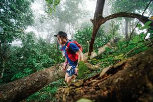 BIB: 
                            <button type="button" onclick="openModal(22778907)" class="btn btn-primary btn-sm float-right btn-popup" data-toggle="modal" data-target=".modal-high-quality">
                        <i class="fas fa-shopping-cart"></i> Add to Cart
                    </button>
                                            <button type="button" onclick="isThisMe(22778907, true)" class="btn btn-success btn-sm float-right btn-popup btn-isme hidden" data-toggle="tooltip" data-placement="bottom" title="นี่คือรูปของคุณใช่ไหม คลิกที่นี่เพื่อเอาเข้าอัลบั้ม">
                        <i class="fas fa-plus"></i> Add to album
                    </button>
                    <button type="button" onclick="isThisMe(22778907, false)" class="btn btn-warning btn-sm float-right btn-popup btn-isnotme hidden">
                        <i class="fas fa-ban"></i> Remove from album
                    </button>