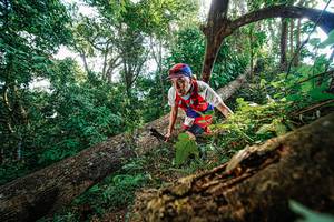 BIB: 
                            <button type="button" onclick="openModal(22778048)" class="btn btn-primary btn-sm float-right btn-popup" data-toggle="modal" data-target=".modal-high-quality">
                        <i class="fas fa-shopping-cart"></i> Add to Cart
                    </button>
                                            <button type="button" onclick="isThisMe(22778048, true)" class="btn btn-success btn-sm float-right btn-popup btn-isme hidden" data-toggle="tooltip" data-placement="bottom" title="นี่คือรูปของคุณใช่ไหม คลิกที่นี่เพื่อเอาเข้าอัลบั้ม">
                        <i class="fas fa-plus"></i> Add to album
                    </button>
                    <button type="button" onclick="isThisMe(22778048, false)" class="btn btn-warning btn-sm float-right btn-popup btn-isnotme hidden">
                        <i class="fas fa-ban"></i> Remove from album
                    </button>