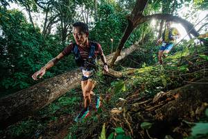 BIB: 1640, 
                            <button type="button" onclick="openModal(22777564)" class="btn btn-primary btn-sm float-right btn-popup" data-toggle="modal" data-target=".modal-high-quality">
                        <i class="fas fa-shopping-cart"></i> Add to Cart
                    </button>
                                            <button type="button" onclick="isThisMe(22777564, true)" class="btn btn-success btn-sm float-right btn-popup btn-isme hidden" data-toggle="tooltip" data-placement="bottom" title="นี่คือรูปของคุณใช่ไหม คลิกที่นี่เพื่อเอาเข้าอัลบั้ม">
                        <i class="fas fa-plus"></i> Add to album
                    </button>
                    <button type="button" onclick="isThisMe(22777564, false)" class="btn btn-warning btn-sm float-right btn-popup btn-isnotme hidden">
                        <i class="fas fa-ban"></i> Remove from album
                    </button>