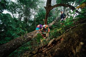 BIB: 
                            <button type="button" onclick="openModal(22778695)" class="btn btn-primary btn-sm float-right btn-popup" data-toggle="modal" data-target=".modal-high-quality">
                        <i class="fas fa-shopping-cart"></i> Add to Cart
                    </button>
                                            <button type="button" onclick="isThisMe(22778695, true)" class="btn btn-success btn-sm float-right btn-popup btn-isme hidden" data-toggle="tooltip" data-placement="bottom" title="นี่คือรูปของคุณใช่ไหม คลิกที่นี่เพื่อเอาเข้าอัลบั้ม">
                        <i class="fas fa-plus"></i> Add to album
                    </button>
                    <button type="button" onclick="isThisMe(22778695, false)" class="btn btn-warning btn-sm float-right btn-popup btn-isnotme hidden">
                        <i class="fas fa-ban"></i> Remove from album
                    </button>