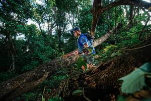 BIB: 
                            <button type="button" onclick="openModal(22777445)" class="btn btn-primary btn-sm float-right btn-popup" data-toggle="modal" data-target=".modal-high-quality">
                        <i class="fas fa-shopping-cart"></i> Add to Cart
                    </button>
                                            <button type="button" onclick="isThisMe(22777445, true)" class="btn btn-success btn-sm float-right btn-popup btn-isme hidden" data-toggle="tooltip" data-placement="bottom" title="นี่คือรูปของคุณใช่ไหม คลิกที่นี่เพื่อเอาเข้าอัลบั้ม">
                        <i class="fas fa-plus"></i> Add to album
                    </button>
                    <button type="button" onclick="isThisMe(22777445, false)" class="btn btn-warning btn-sm float-right btn-popup btn-isnotme hidden">
                        <i class="fas fa-ban"></i> Remove from album
                    </button>