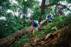 BIB: 
                            <button type="button" onclick="openModal(22778067)" class="btn btn-primary btn-sm float-right btn-popup" data-toggle="modal" data-target=".modal-high-quality">
                        <i class="fas fa-shopping-cart"></i> Add to Cart
                    </button>
                                            <button type="button" onclick="isThisMe(22778067, true)" class="btn btn-success btn-sm float-right btn-popup btn-isme hidden" data-toggle="tooltip" data-placement="bottom" title="นี่คือรูปของคุณใช่ไหม คลิกที่นี่เพื่อเอาเข้าอัลบั้ม">
                        <i class="fas fa-plus"></i> Add to album
                    </button>
                    <button type="button" onclick="isThisMe(22778067, false)" class="btn btn-warning btn-sm float-right btn-popup btn-isnotme hidden">
                        <i class="fas fa-ban"></i> Remove from album
                    </button>