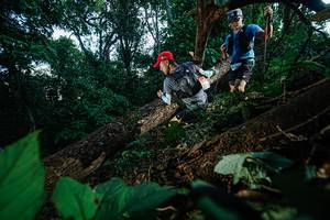 BIB: 
                            <button type="button" onclick="openModal(22777010)" class="btn btn-primary btn-sm float-right btn-popup" data-toggle="modal" data-target=".modal-high-quality">
                        <i class="fas fa-shopping-cart"></i> Add to Cart
                    </button>
                                            <button type="button" onclick="isThisMe(22777010, true)" class="btn btn-success btn-sm float-right btn-popup btn-isme hidden" data-toggle="tooltip" data-placement="bottom" title="นี่คือรูปของคุณใช่ไหม คลิกที่นี่เพื่อเอาเข้าอัลบั้ม">
                        <i class="fas fa-plus"></i> Add to album
                    </button>
                    <button type="button" onclick="isThisMe(22777010, false)" class="btn btn-warning btn-sm float-right btn-popup btn-isnotme hidden">
                        <i class="fas fa-ban"></i> Remove from album
                    </button>