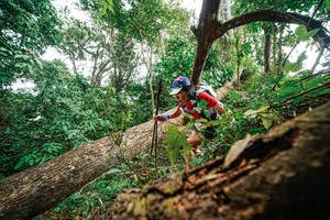 BIB: 
                            <button type="button" onclick="openModal(22779287)" class="btn btn-primary btn-sm float-right btn-popup" data-toggle="modal" data-target=".modal-high-quality">
                        <i class="fas fa-shopping-cart"></i> Add to Cart
                    </button>
                                            <button type="button" onclick="isThisMe(22779287, true)" class="btn btn-success btn-sm float-right btn-popup btn-isme hidden" data-toggle="tooltip" data-placement="bottom" title="นี่คือรูปของคุณใช่ไหม คลิกที่นี่เพื่อเอาเข้าอัลบั้ม">
                        <i class="fas fa-plus"></i> Add to album
                    </button>
                    <button type="button" onclick="isThisMe(22779287, false)" class="btn btn-warning btn-sm float-right btn-popup btn-isnotme hidden">
                        <i class="fas fa-ban"></i> Remove from album
                    </button>