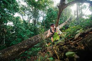 BIB: 
                            <button type="button" onclick="openModal(22777738)" class="btn btn-primary btn-sm float-right btn-popup" data-toggle="modal" data-target=".modal-high-quality">
                        <i class="fas fa-shopping-cart"></i> Add to Cart
                    </button>
                                            <button type="button" onclick="isThisMe(22777738, true)" class="btn btn-success btn-sm float-right btn-popup btn-isme hidden" data-toggle="tooltip" data-placement="bottom" title="นี่คือรูปของคุณใช่ไหม คลิกที่นี่เพื่อเอาเข้าอัลบั้ม">
                        <i class="fas fa-plus"></i> Add to album
                    </button>
                    <button type="button" onclick="isThisMe(22777738, false)" class="btn btn-warning btn-sm float-right btn-popup btn-isnotme hidden">
                        <i class="fas fa-ban"></i> Remove from album
                    </button>