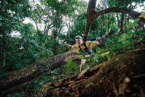 BIB: 
                            <button type="button" onclick="openModal(22778559)" class="btn btn-primary btn-sm float-right btn-popup" data-toggle="modal" data-target=".modal-high-quality">
                        <i class="fas fa-shopping-cart"></i> Add to Cart
                    </button>
                                            <button type="button" onclick="isThisMe(22778559, true)" class="btn btn-success btn-sm float-right btn-popup btn-isme hidden" data-toggle="tooltip" data-placement="bottom" title="นี่คือรูปของคุณใช่ไหม คลิกที่นี่เพื่อเอาเข้าอัลบั้ม">
                        <i class="fas fa-plus"></i> Add to album
                    </button>
                    <button type="button" onclick="isThisMe(22778559, false)" class="btn btn-warning btn-sm float-right btn-popup btn-isnotme hidden">
                        <i class="fas fa-ban"></i> Remove from album
                    </button>