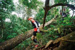 BIB: 
                            <button type="button" onclick="openModal(22779239)" class="btn btn-primary btn-sm float-right btn-popup" data-toggle="modal" data-target=".modal-high-quality">
                        <i class="fas fa-shopping-cart"></i> Add to Cart
                    </button>
                                            <button type="button" onclick="isThisMe(22779239, true)" class="btn btn-success btn-sm float-right btn-popup btn-isme hidden" data-toggle="tooltip" data-placement="bottom" title="นี่คือรูปของคุณใช่ไหม คลิกที่นี่เพื่อเอาเข้าอัลบั้ม">
                        <i class="fas fa-plus"></i> Add to album
                    </button>
                    <button type="button" onclick="isThisMe(22779239, false)" class="btn btn-warning btn-sm float-right btn-popup btn-isnotme hidden">
                        <i class="fas fa-ban"></i> Remove from album
                    </button>