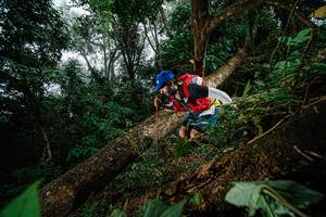 BIB: 
                            <button type="button" onclick="openModal(22775741)" class="btn btn-primary btn-sm float-right btn-popup" data-toggle="modal" data-target=".modal-high-quality">
                        <i class="fas fa-shopping-cart"></i> Add to Cart
                    </button>
                                            <button type="button" onclick="isThisMe(22775741, true)" class="btn btn-success btn-sm float-right btn-popup btn-isme hidden" data-toggle="tooltip" data-placement="bottom" title="นี่คือรูปของคุณใช่ไหม คลิกที่นี่เพื่อเอาเข้าอัลบั้ม">
                        <i class="fas fa-plus"></i> Add to album
                    </button>
                    <button type="button" onclick="isThisMe(22775741, false)" class="btn btn-warning btn-sm float-right btn-popup btn-isnotme hidden">
                        <i class="fas fa-ban"></i> Remove from album
                    </button>