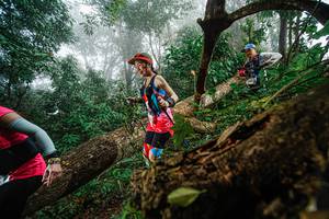 BIB: 
                            <button type="button" onclick="openModal(22778976)" class="btn btn-primary btn-sm float-right btn-popup" data-toggle="modal" data-target=".modal-high-quality">
                        <i class="fas fa-shopping-cart"></i> Add to Cart
                    </button>
                                            <button type="button" onclick="isThisMe(22778976, true)" class="btn btn-success btn-sm float-right btn-popup btn-isme hidden" data-toggle="tooltip" data-placement="bottom" title="นี่คือรูปของคุณใช่ไหม คลิกที่นี่เพื่อเอาเข้าอัลบั้ม">
                        <i class="fas fa-plus"></i> Add to album
                    </button>
                    <button type="button" onclick="isThisMe(22778976, false)" class="btn btn-warning btn-sm float-right btn-popup btn-isnotme hidden">
                        <i class="fas fa-ban"></i> Remove from album
                    </button>