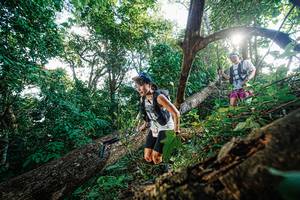 BIB: 
                            <button type="button" onclick="openModal(22777825)" class="btn btn-primary btn-sm float-right btn-popup" data-toggle="modal" data-target=".modal-high-quality">
                        <i class="fas fa-shopping-cart"></i> Add to Cart
                    </button>
                                            <button type="button" onclick="isThisMe(22777825, true)" class="btn btn-success btn-sm float-right btn-popup btn-isme hidden" data-toggle="tooltip" data-placement="bottom" title="นี่คือรูปของคุณใช่ไหม คลิกที่นี่เพื่อเอาเข้าอัลบั้ม">
                        <i class="fas fa-plus"></i> Add to album
                    </button>
                    <button type="button" onclick="isThisMe(22777825, false)" class="btn btn-warning btn-sm float-right btn-popup btn-isnotme hidden">
                        <i class="fas fa-ban"></i> Remove from album
                    </button>