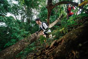 BIB: 
                            <button type="button" onclick="openModal(22778662)" class="btn btn-primary btn-sm float-right btn-popup" data-toggle="modal" data-target=".modal-high-quality">
                        <i class="fas fa-shopping-cart"></i> Add to Cart
                    </button>
                                            <button type="button" onclick="isThisMe(22778662, true)" class="btn btn-success btn-sm float-right btn-popup btn-isme hidden" data-toggle="tooltip" data-placement="bottom" title="นี่คือรูปของคุณใช่ไหม คลิกที่นี่เพื่อเอาเข้าอัลบั้ม">
                        <i class="fas fa-plus"></i> Add to album
                    </button>
                    <button type="button" onclick="isThisMe(22778662, false)" class="btn btn-warning btn-sm float-right btn-popup btn-isnotme hidden">
                        <i class="fas fa-ban"></i> Remove from album
                    </button>