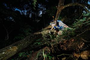 BIB: 
                            <button type="button" onclick="openModal(22774471)" class="btn btn-primary btn-sm float-right btn-popup" data-toggle="modal" data-target=".modal-high-quality">
                        <i class="fas fa-shopping-cart"></i> Add to Cart
                    </button>
                                            <button type="button" onclick="isThisMe(22774471, true)" class="btn btn-success btn-sm float-right btn-popup btn-isme hidden" data-toggle="tooltip" data-placement="bottom" title="นี่คือรูปของคุณใช่ไหม คลิกที่นี่เพื่อเอาเข้าอัลบั้ม">
                        <i class="fas fa-plus"></i> Add to album
                    </button>
                    <button type="button" onclick="isThisMe(22774471, false)" class="btn btn-warning btn-sm float-right btn-popup btn-isnotme hidden">
                        <i class="fas fa-ban"></i> Remove from album
                    </button>