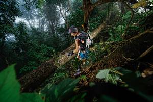 BIB: 
                            <button type="button" onclick="openModal(22776759)" class="btn btn-primary btn-sm float-right btn-popup" data-toggle="modal" data-target=".modal-high-quality">
                        <i class="fas fa-shopping-cart"></i> Add to Cart
                    </button>
                                            <button type="button" onclick="isThisMe(22776759, true)" class="btn btn-success btn-sm float-right btn-popup btn-isme hidden" data-toggle="tooltip" data-placement="bottom" title="นี่คือรูปของคุณใช่ไหม คลิกที่นี่เพื่อเอาเข้าอัลบั้ม">
                        <i class="fas fa-plus"></i> Add to album
                    </button>
                    <button type="button" onclick="isThisMe(22776759, false)" class="btn btn-warning btn-sm float-right btn-popup btn-isnotme hidden">
                        <i class="fas fa-ban"></i> Remove from album
                    </button>