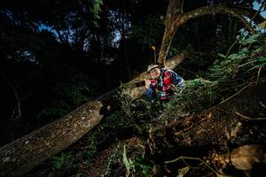 BIB: 
                            <button type="button" onclick="openModal(22774474)" class="btn btn-primary btn-sm float-right btn-popup" data-toggle="modal" data-target=".modal-high-quality">
                        <i class="fas fa-shopping-cart"></i> Add to Cart
                    </button>
                                            <button type="button" onclick="isThisMe(22774474, true)" class="btn btn-success btn-sm float-right btn-popup btn-isme hidden" data-toggle="tooltip" data-placement="bottom" title="นี่คือรูปของคุณใช่ไหม คลิกที่นี่เพื่อเอาเข้าอัลบั้ม">
                        <i class="fas fa-plus"></i> Add to album
                    </button>
                    <button type="button" onclick="isThisMe(22774474, false)" class="btn btn-warning btn-sm float-right btn-popup btn-isnotme hidden">
                        <i class="fas fa-ban"></i> Remove from album
                    </button>