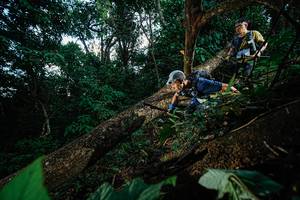 BIB: 
                            <button type="button" onclick="openModal(22775628)" class="btn btn-primary btn-sm float-right btn-popup" data-toggle="modal" data-target=".modal-high-quality">
                        <i class="fas fa-shopping-cart"></i> Add to Cart
                    </button>
                                            <button type="button" onclick="isThisMe(22775628, true)" class="btn btn-success btn-sm float-right btn-popup btn-isme hidden" data-toggle="tooltip" data-placement="bottom" title="นี่คือรูปของคุณใช่ไหม คลิกที่นี่เพื่อเอาเข้าอัลบั้ม">
                        <i class="fas fa-plus"></i> Add to album
                    </button>
                    <button type="button" onclick="isThisMe(22775628, false)" class="btn btn-warning btn-sm float-right btn-popup btn-isnotme hidden">
                        <i class="fas fa-ban"></i> Remove from album
                    </button>